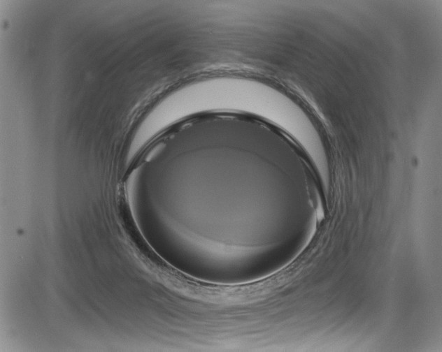 X0000084040023200702161446