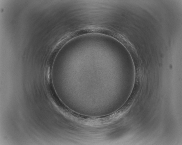 X0000084040024200702161446