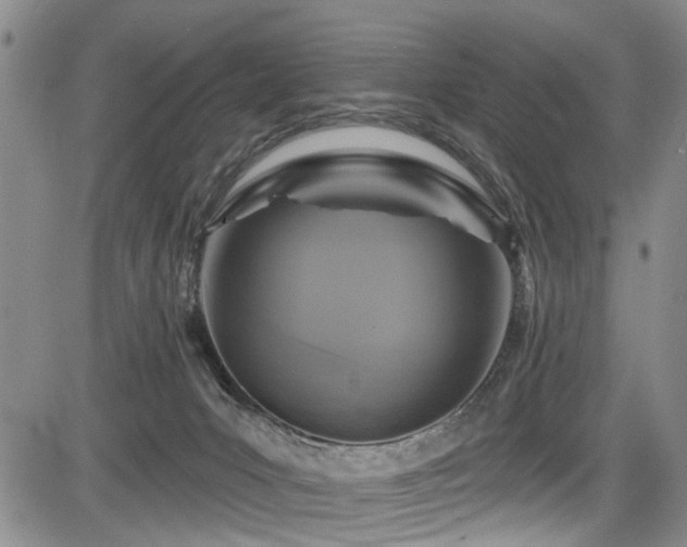 X0000084040031200702161446