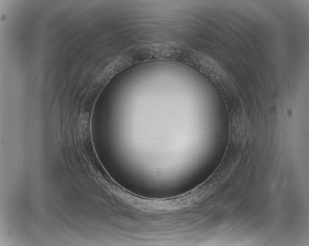 X0000084040034200702161445