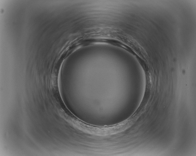 X0000084040035200702161445