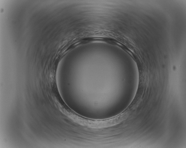 X0000084040039200702161445