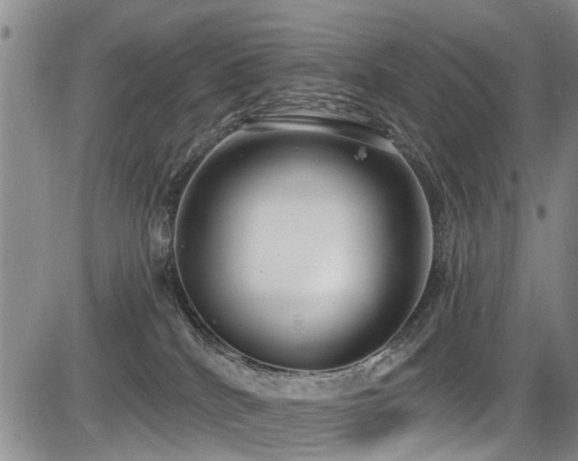 X0000084040040200702161445