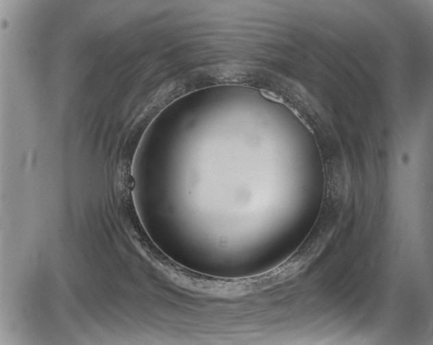 X0000084040044200702161445