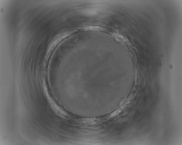 X0000084040049200702161444