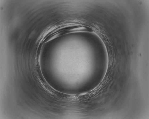 X0000084040050200702161444