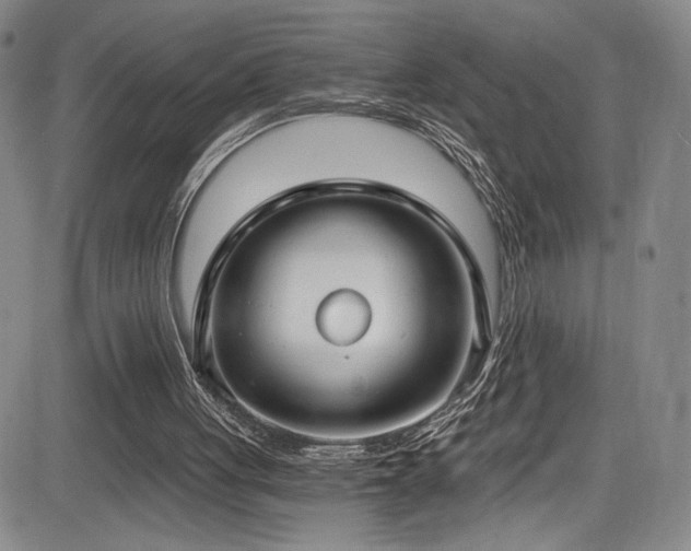 X0000084040051200702161445