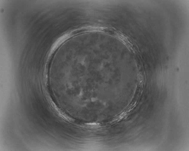 X0000084040053200702161445