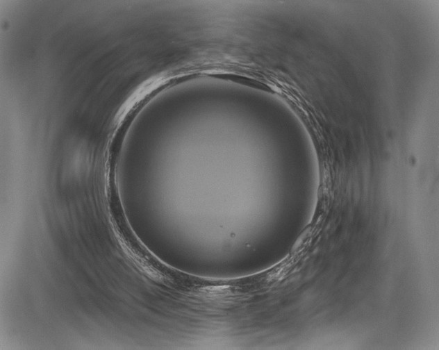 X0000084040054200702161445