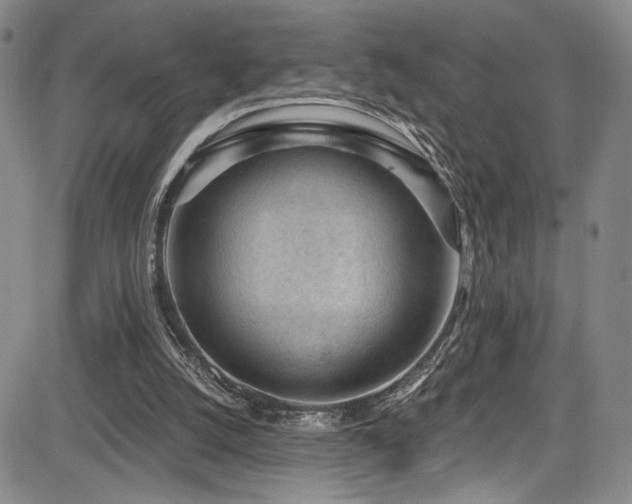 X0000084040056200702161445