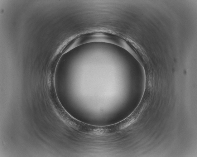X0000084040064200702161445