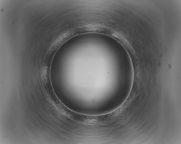 X0000084040066200702161445