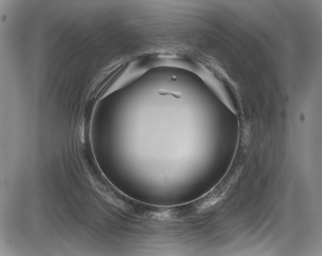 X0000084040068200702161445