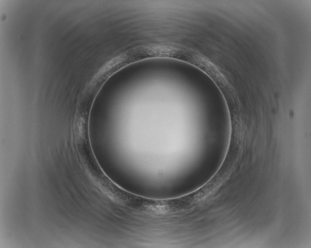 X0000084040071200702161445