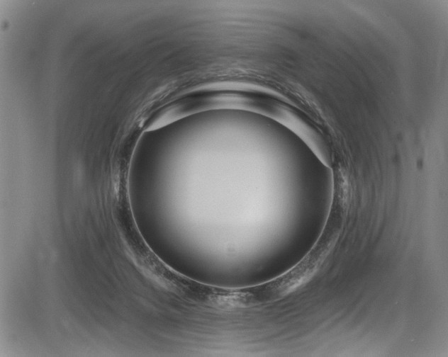 X0000084040072200702161445
