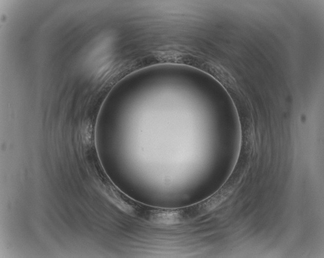 X0000084040081200702161445