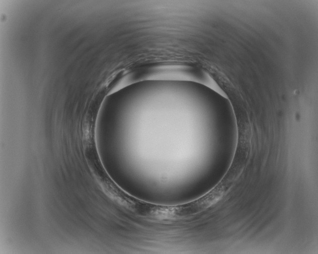 X0000084040084200702161445
