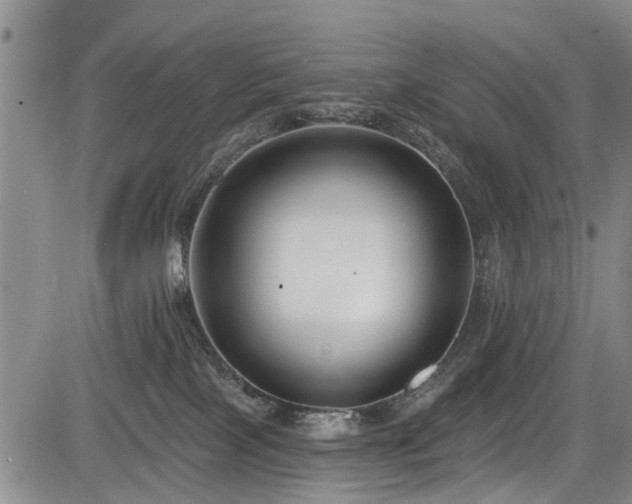 X0000084040089200702161445