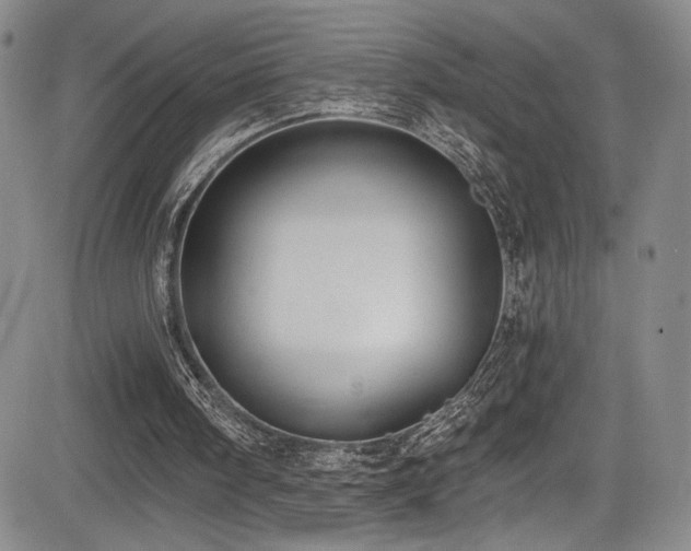 X0000084040098200702161444