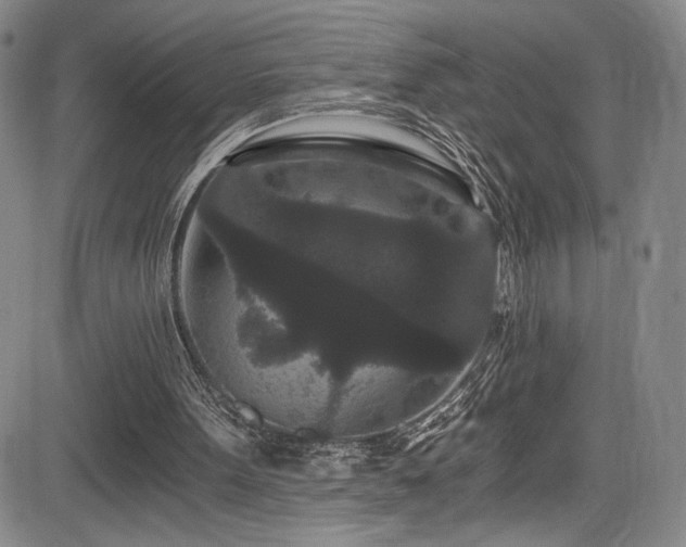 X0000084040099200702161444