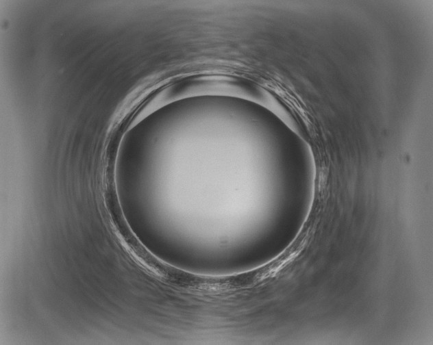 X0000084040101200702161444