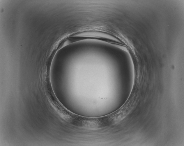 X0000084040107200702161444