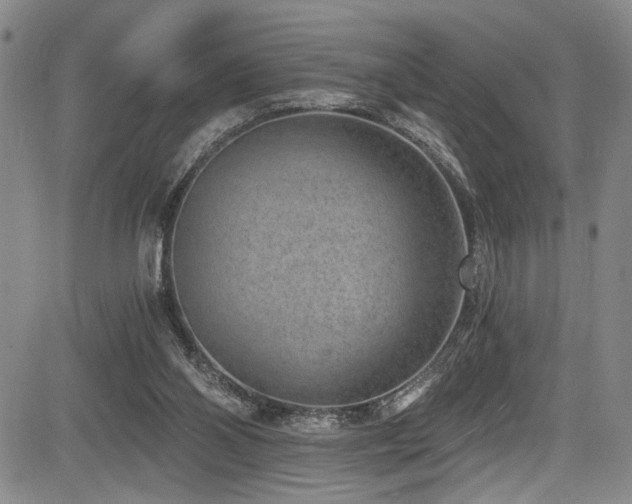 X0000084040110200702161444
