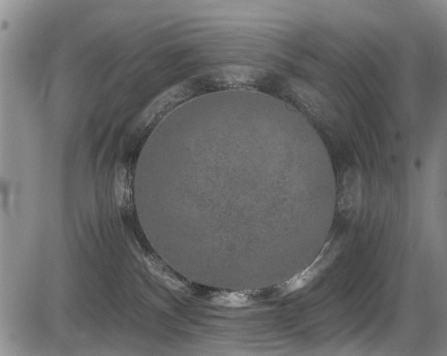 X0000084040140200702161444
