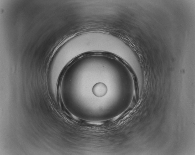 X0000084040146200702161443