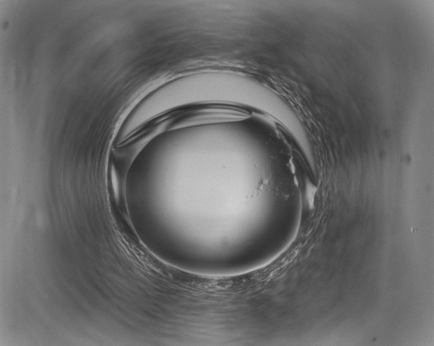 X0000084040148200702161443