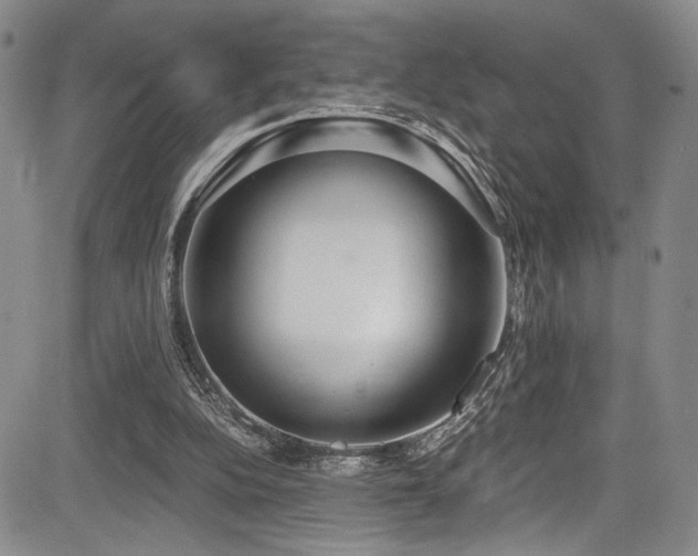 X0000084040152200702161443