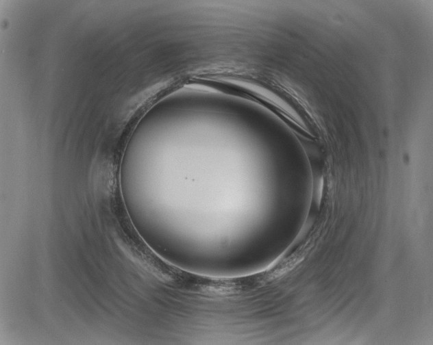 X0000084040164200702161443