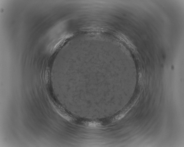 X0000084040165200702161443