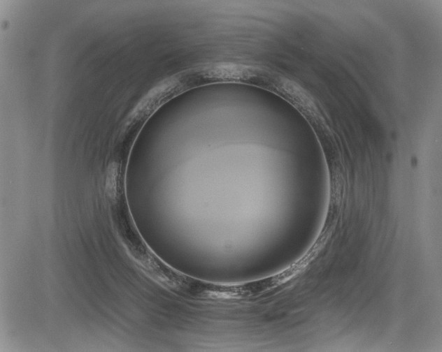 X0000084040167200702161443