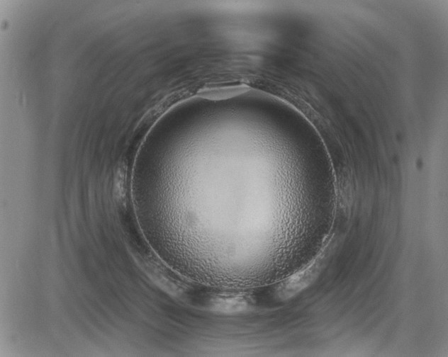 X0000084040175200702161443
