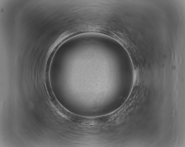 X0000084040195200702161443