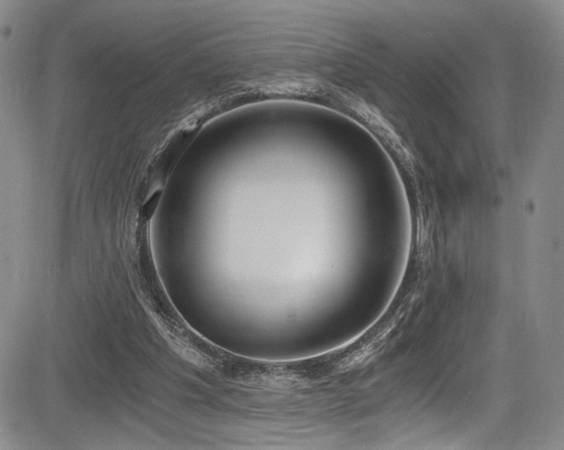 X0000084040201200702161443