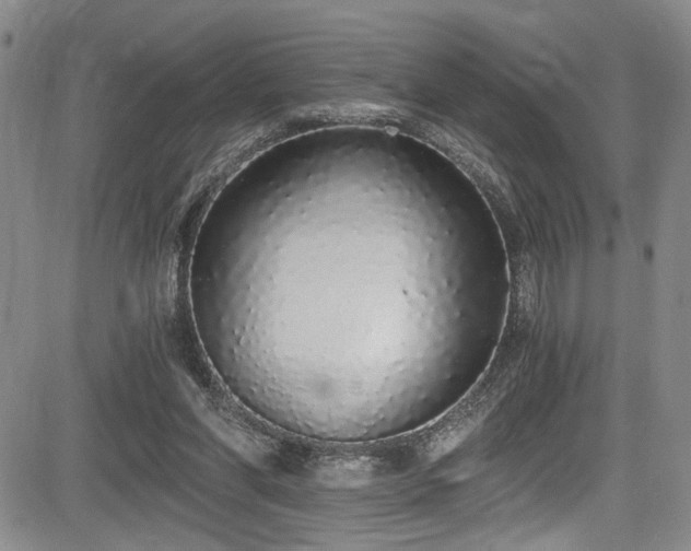 X0000084040206200702161443