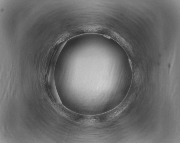 X0000084040209200702161443