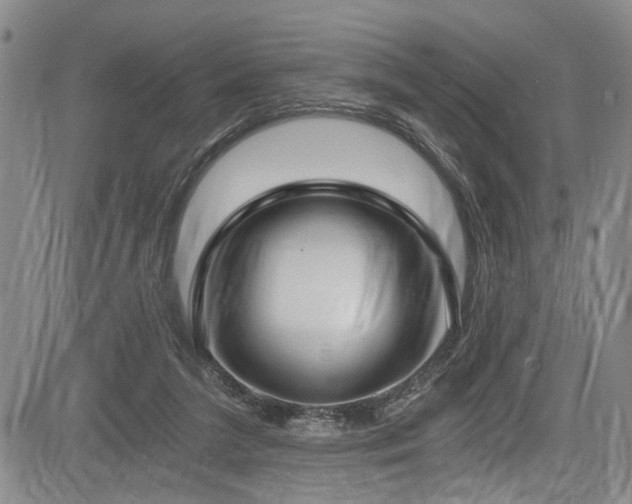 X0000084040211200702161443