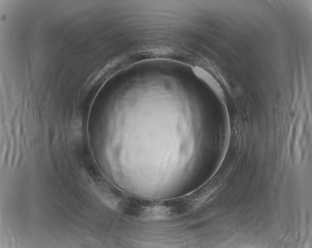 X0000084040212200702161443