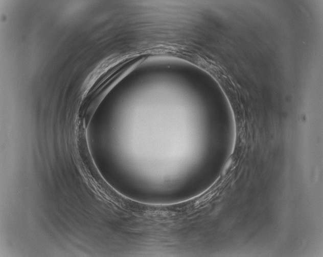 X0000084040242200702161441