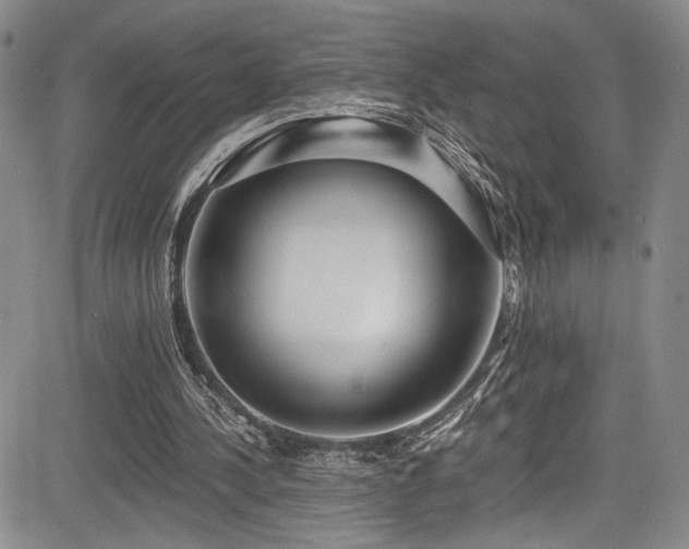X0000084040244200702161441