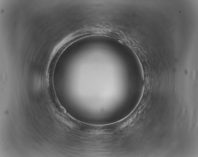 X0000084040246200702161441