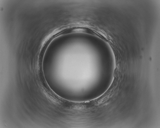 X0000084040248200702161441