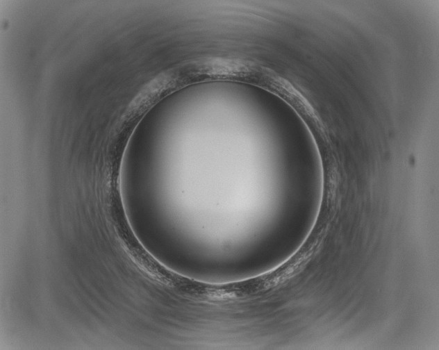 X0000084040257200702161442