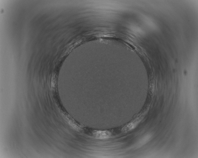 X0000084040277200702161442