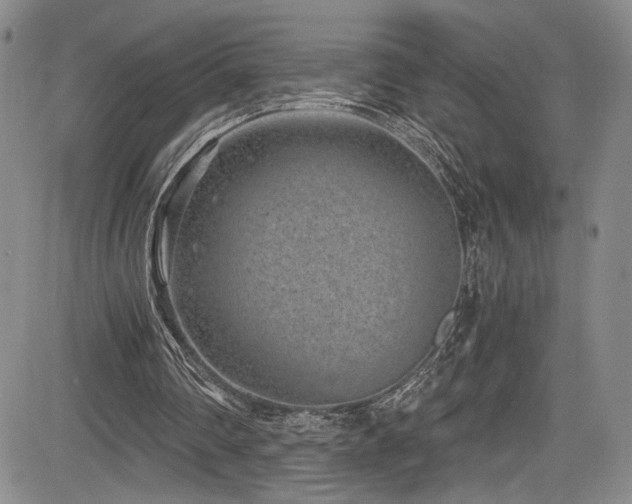 X0000084040290200702161441