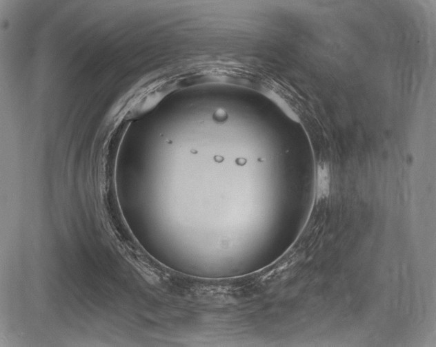 X0000084040291200702161441