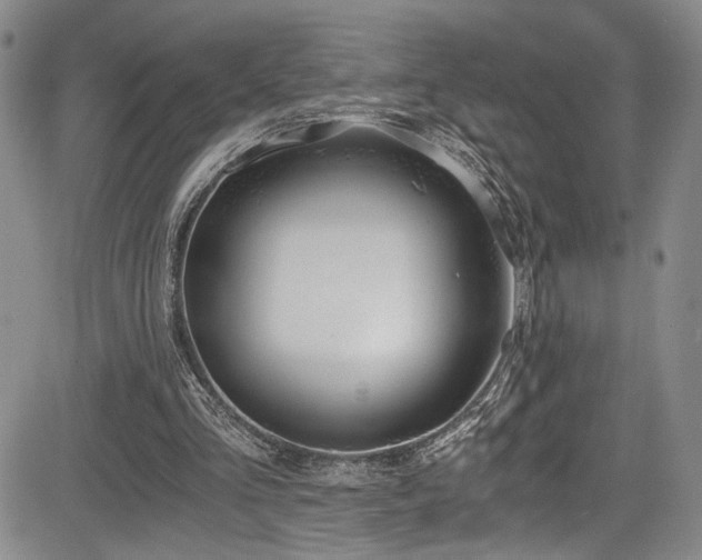 X0000084040293200702161441